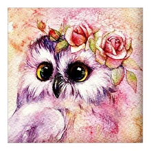 Promosi Owl Minyak Lukisan Beli Owl Minyak Lukisan Produk Dan