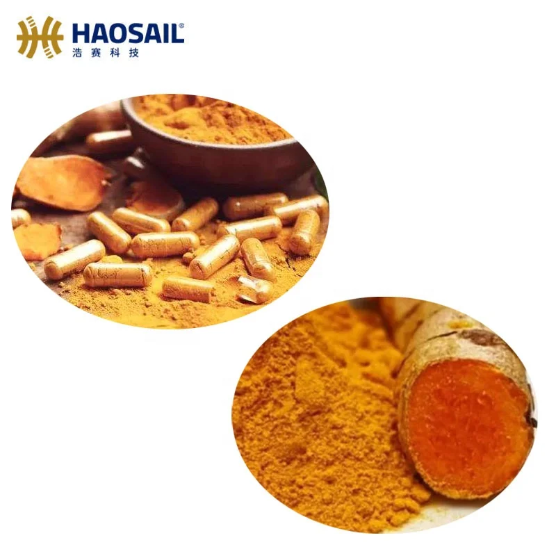 
Top Quality Pure Natural Turmeric Extract Curcumin Powder 95% 