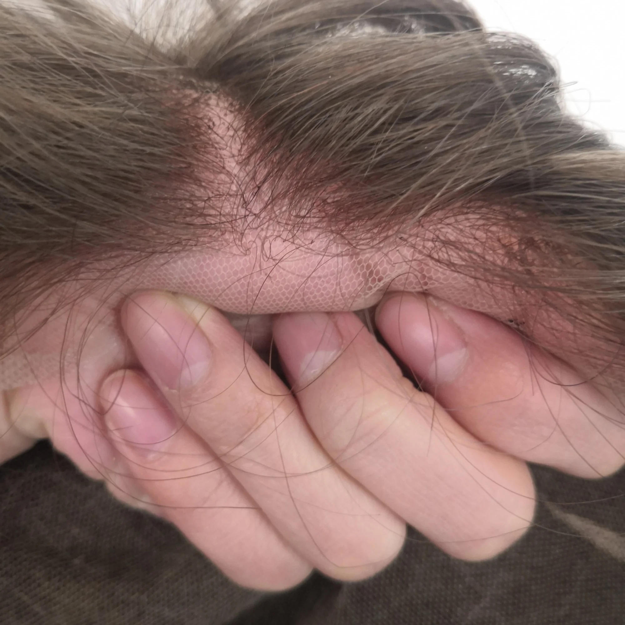 

BQ Color grey SWISS LACE Wigs Super Breathable Top India Human Hair Extension