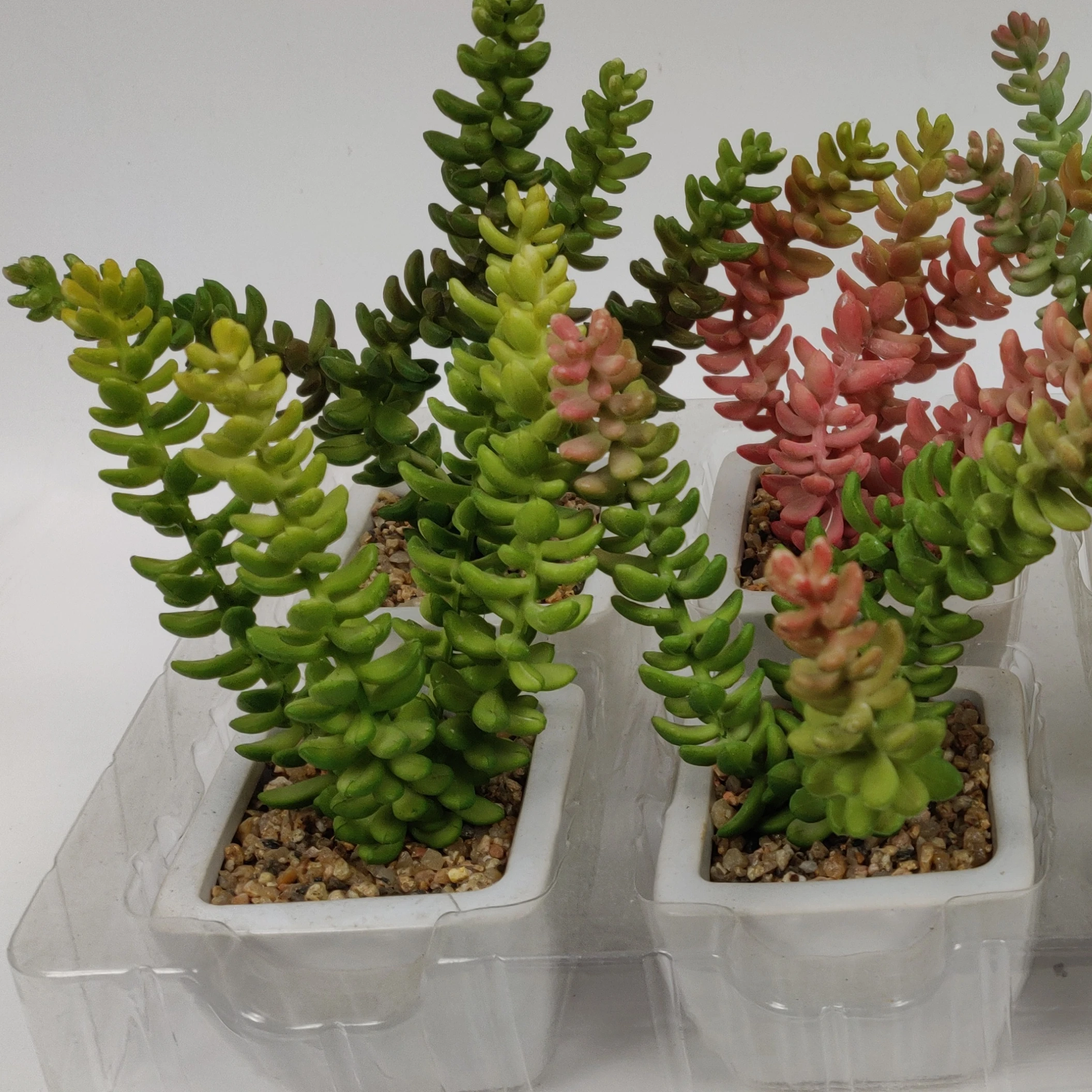 

Faux Small Plastic Bonsai Mini Artificial Assorted Potted Succulents Plants, As shown