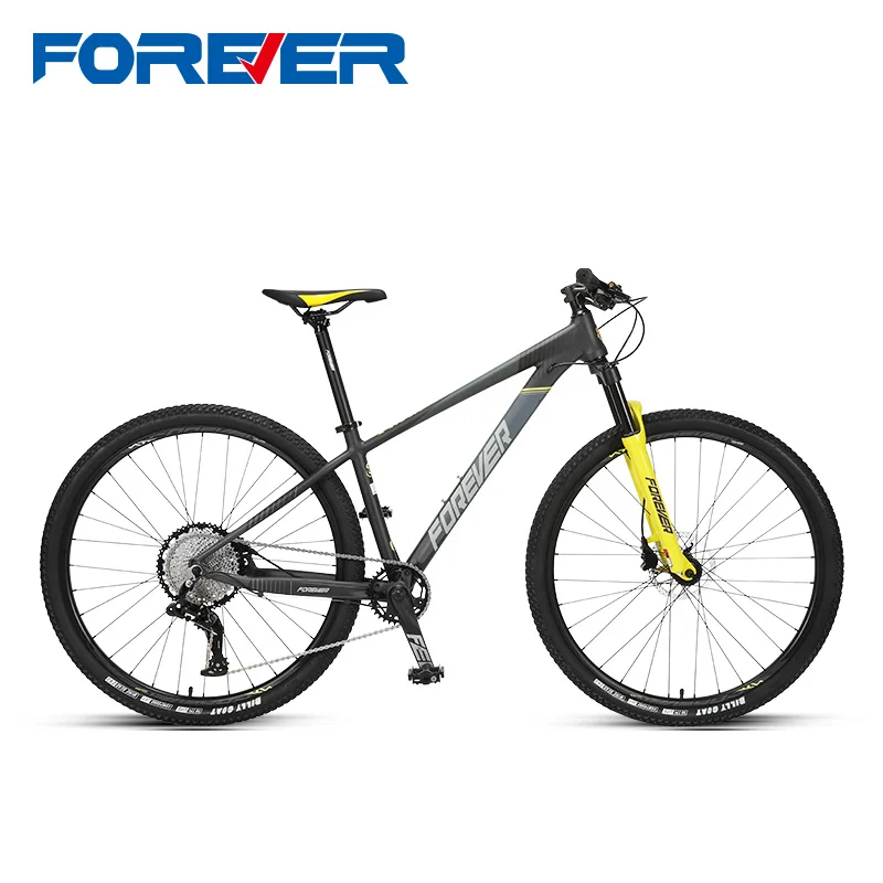 

FOREVER FM075 Sport Entertainment Cycling 29 Inch 12 Speed Bicycle Bicicleta Mountain Bike Biciclet Ride on car Cycle MTB