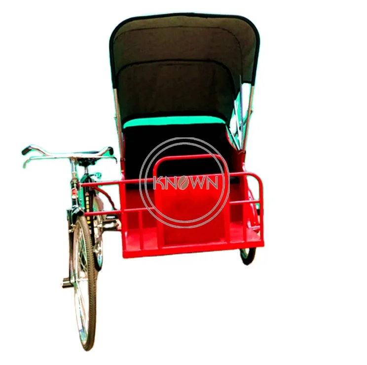

Customized Electric Tricycle for Carrying Passengers Commercial 3 Wheel Unique Cargo Bike for Sale Europe