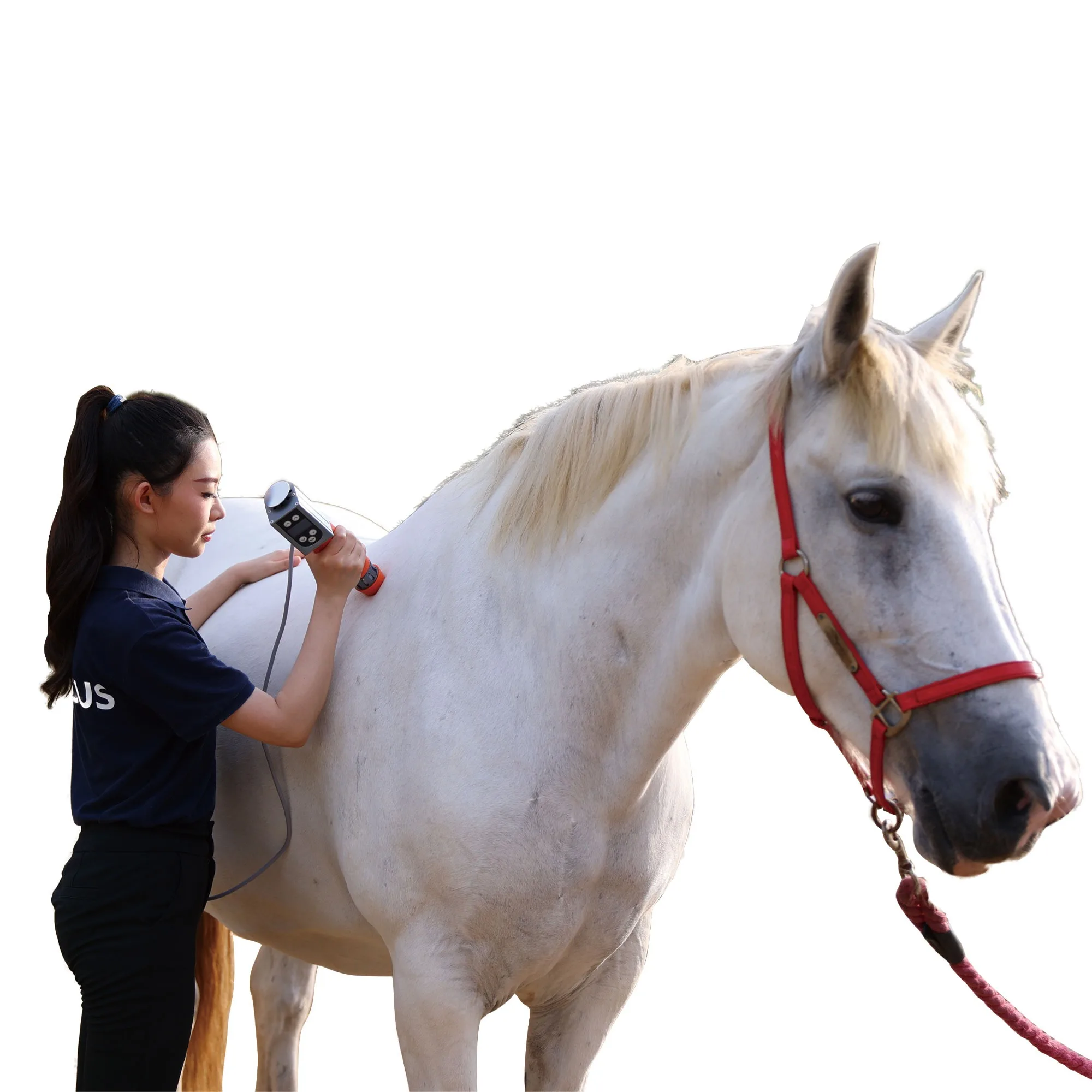 Professional Equine Therapy ESWT Device Quick Pain Relief for Horses Pets Animals Focused Shock Wave Therapy Body Application