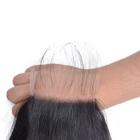 

Wholesale Factory Direct Sale Human Hair Swiss Transparent HD 4*4 Lace Closure