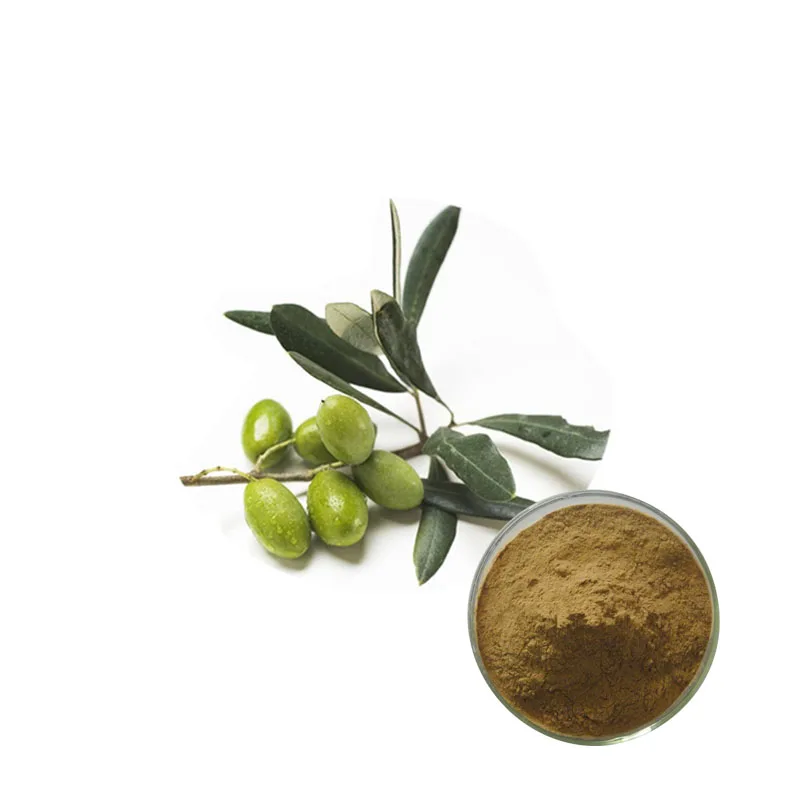 
Natural olive leaf extract CAS 32619-42-4 Oleuropein 