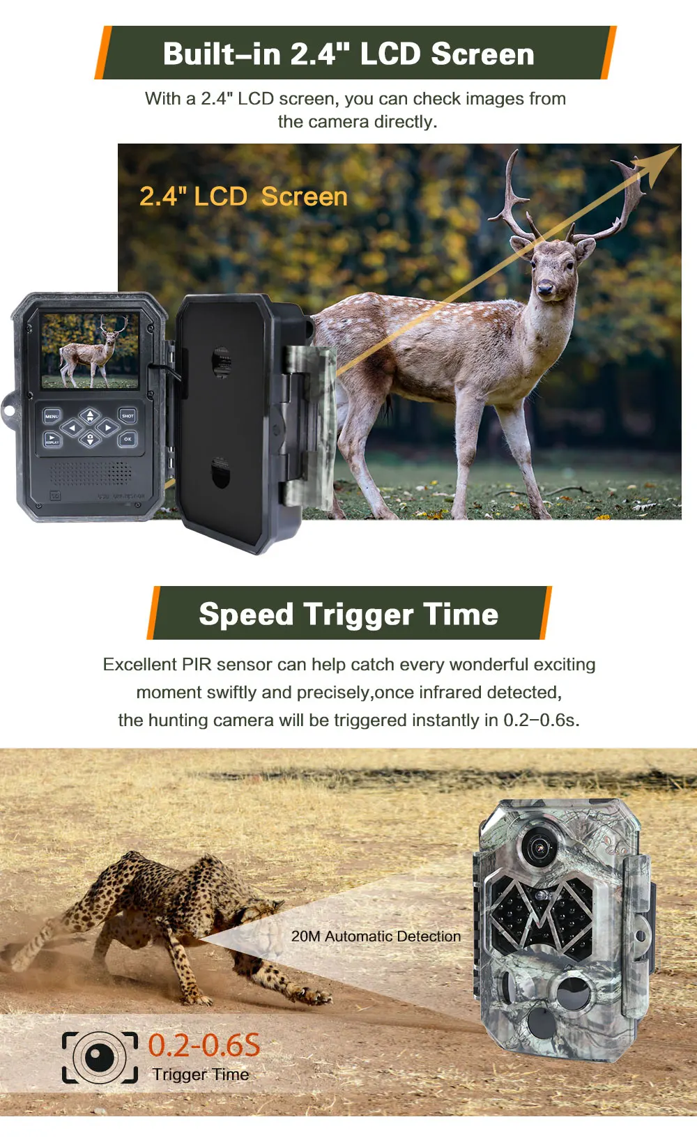 770 hunting camera 07.jpg