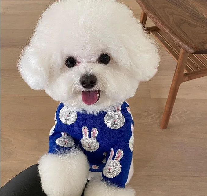 

INS new Korean cute rabbit autumn winter warm small dog sweater