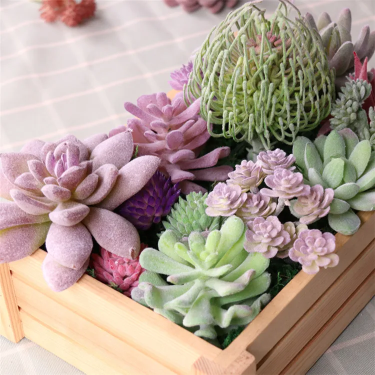 succulents (23).jpg