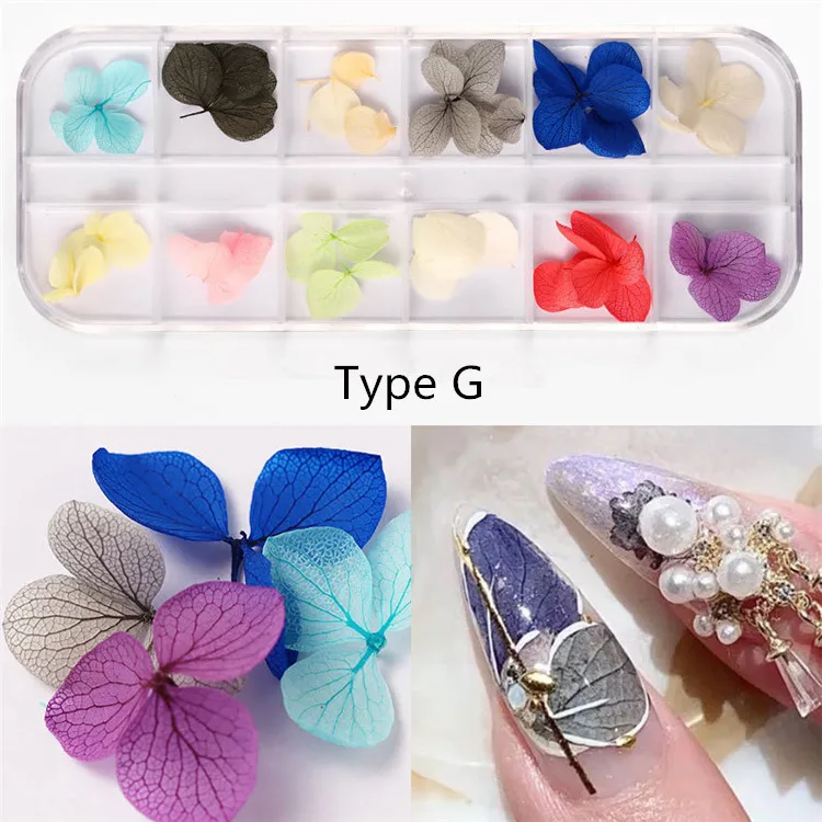 QT0188 Type G flower