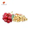 In the absence of vitamin B, cell function is immediately reduced, causing metabolic disorders