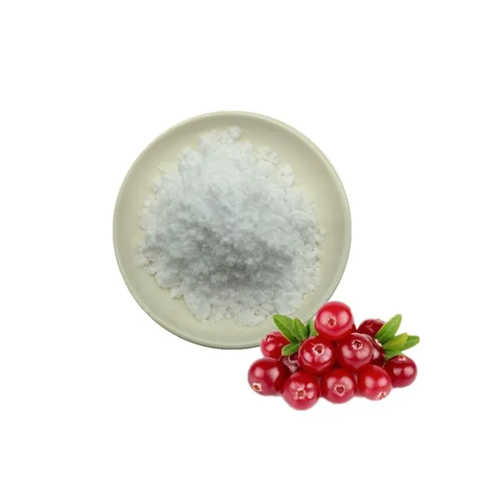 热卖熊果提取物粉纯 99% 阿尔法熊果苷用于cosmrtics