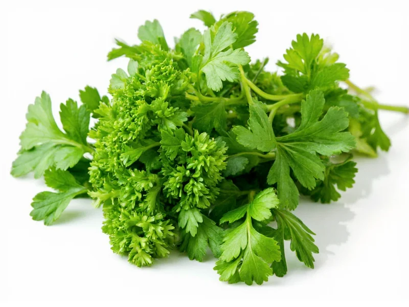 Parsley and Cilantro: Are They the Same Herb? (Clear Answer)
