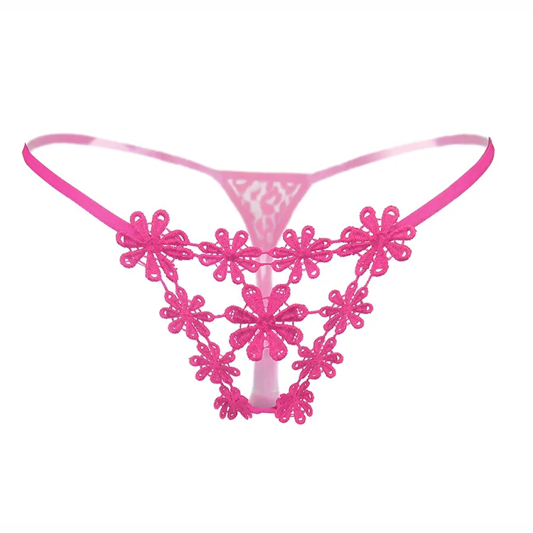 

U5309 Amazon Fashion sexy women lingerie Transparent mesh sexy underwear hot embroidery lace women panties thong