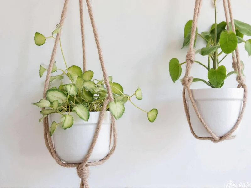 diy plant hanger