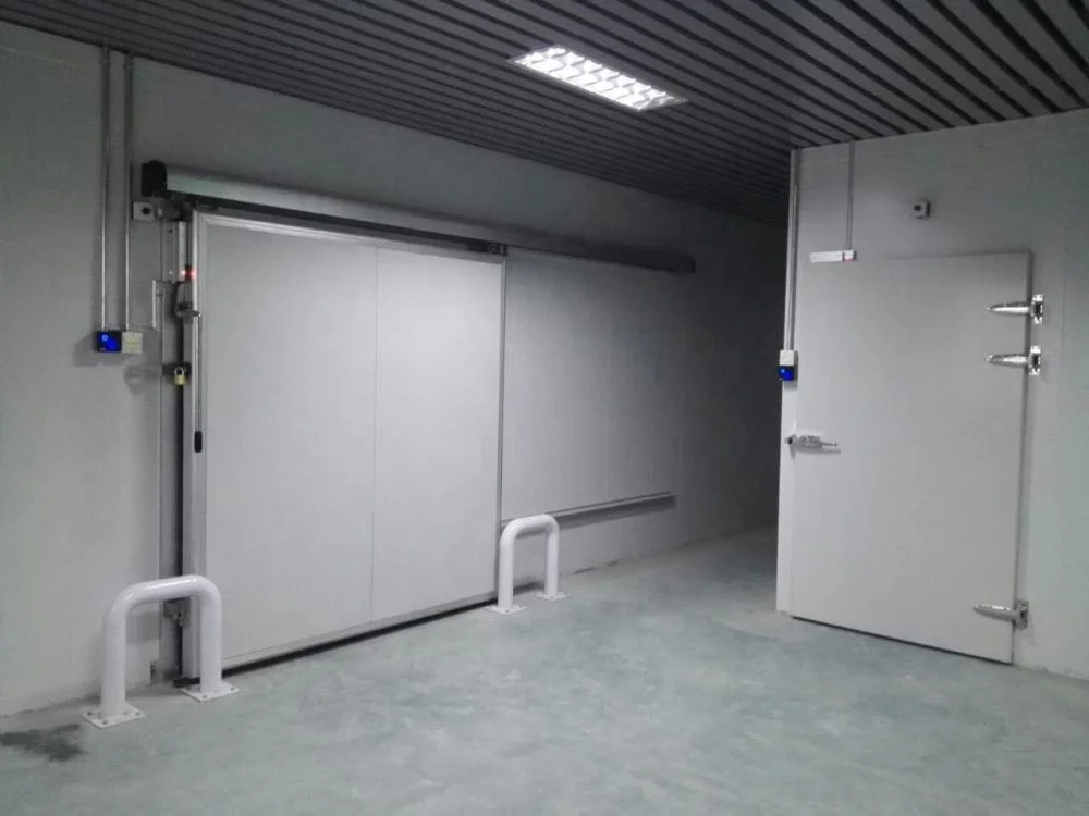 cold storage freezing chamber
