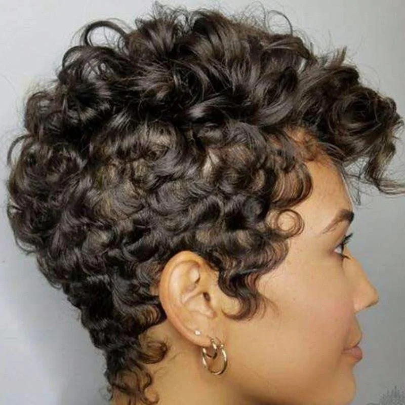 

Jhcentury Fashion Ladies Short Hair Headgear Euroamerican Wigs Ladies Small Curly Hair Wigs, Black/brown