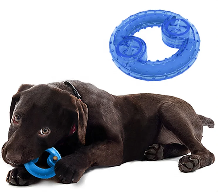 

Hot Summer Dog Chew Toys TPR Leaking Frozen Ice Ball Pet Treat Freeze Dog Cooling Toy, Blue