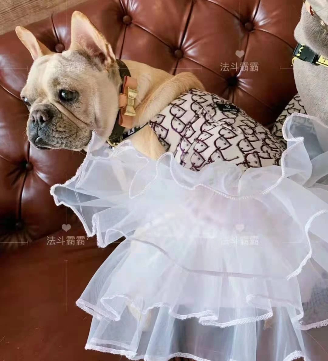 

Summer Luxury Designer Girl Pet Clothes Apparel Cat Puppy Dog Dresses, White
