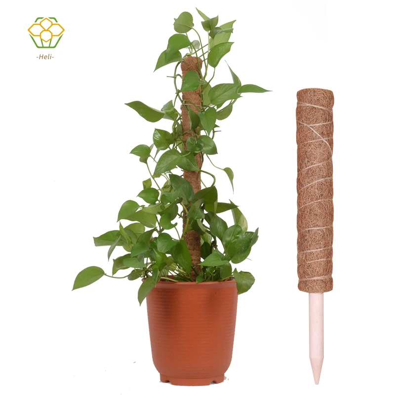 

Coir Pole Coir Moss Stick Coir Totem Pole for Plant Support Extension Climbing Indoor Garden Plants Creeper in flower pots, Natural