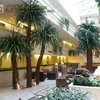 Guangdong Factory Hot Sale Large Artificial Shade Tree Giant Artificial Palm Tree For Project Display