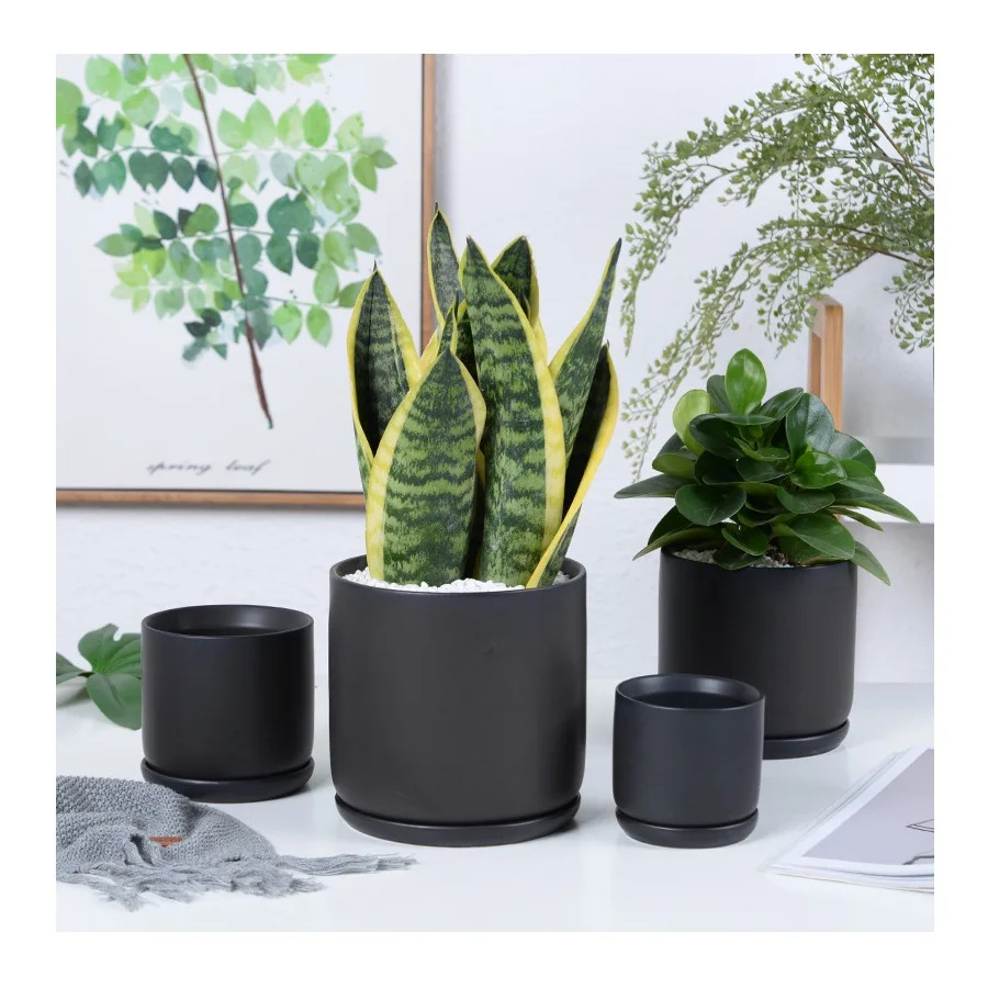 

APHACATOP Small Cactus Planters Flower Pots with Drainage Hole and Tray ceramic succulent planter pot