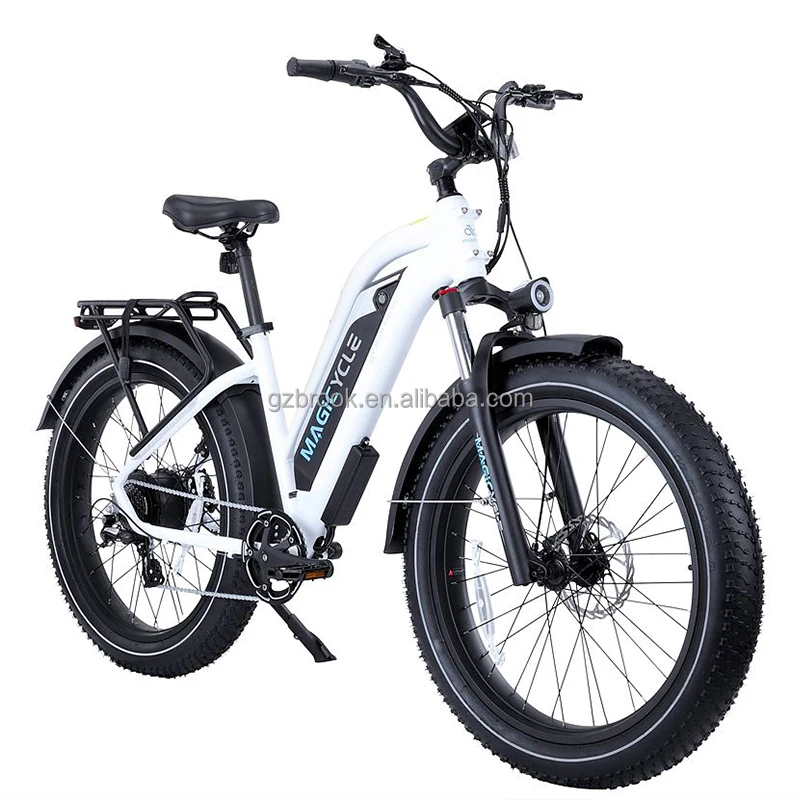 

USA Domestic Delivery free shipping 750 watt classic electric bike snow e-bike city, Pearl white