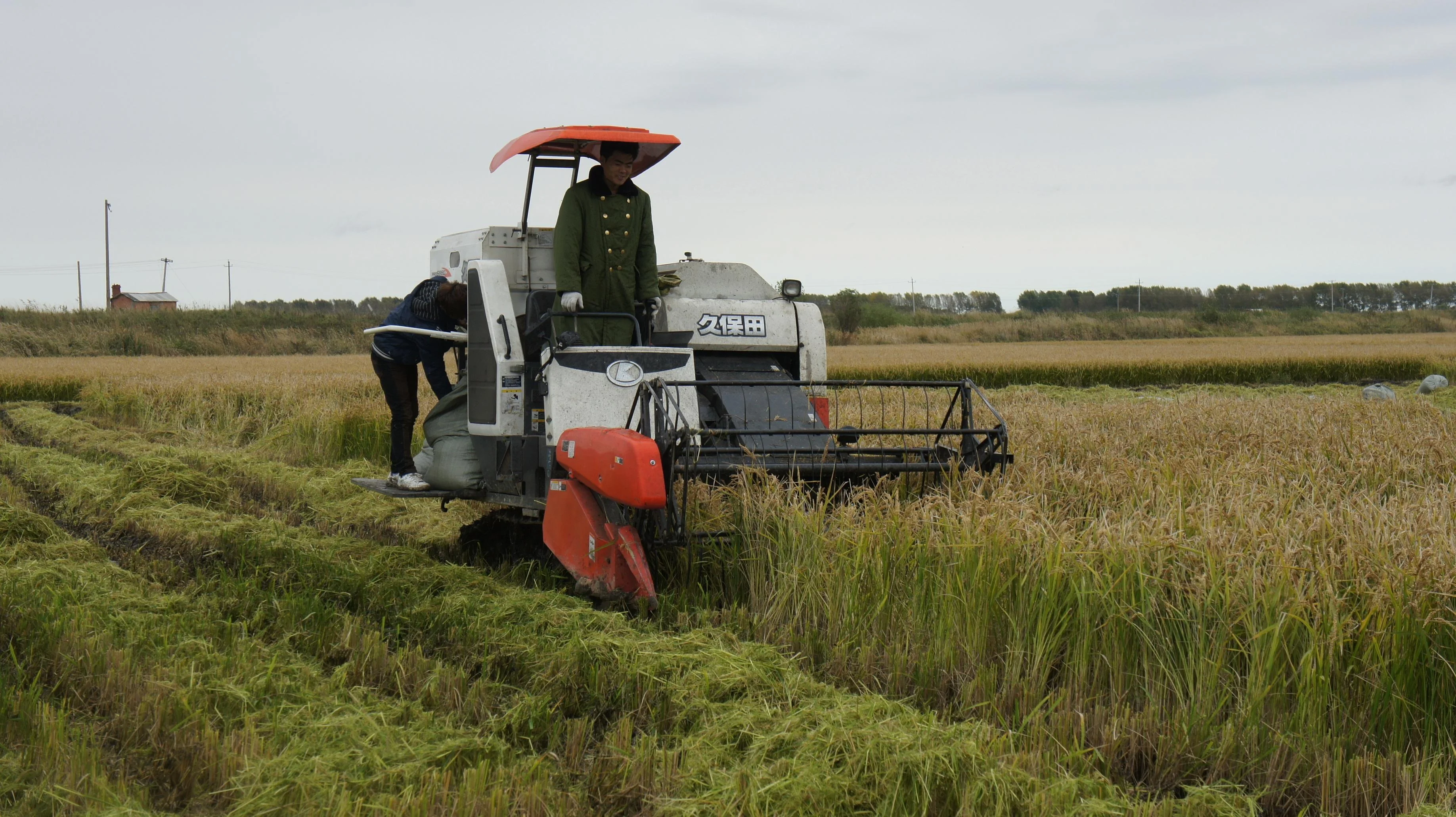 agriculture