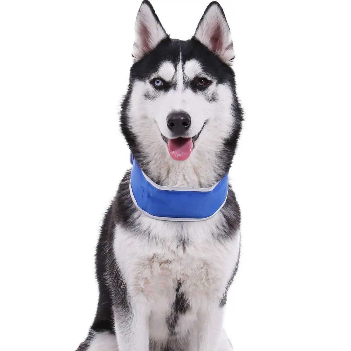 

Ice cool gel inside dog cool collar pet cooling collar