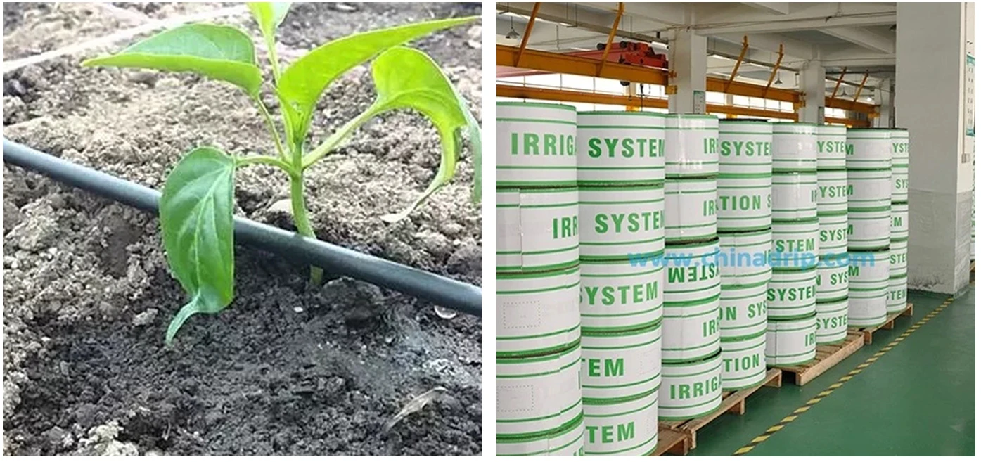 Drip Irrigation System Design Gravity Drip T Drip Tape in Agricultural