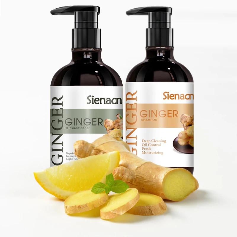 

2021Hot-Sale dandruff treatment Vegan Formula Sulfate free Natural Anti-Hair loss Treatment Hair Growth Organic Ginger shampoo