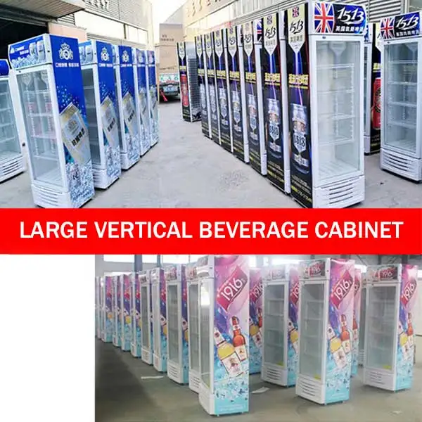 Refrigerated Display / Fresh Beer / Beverage