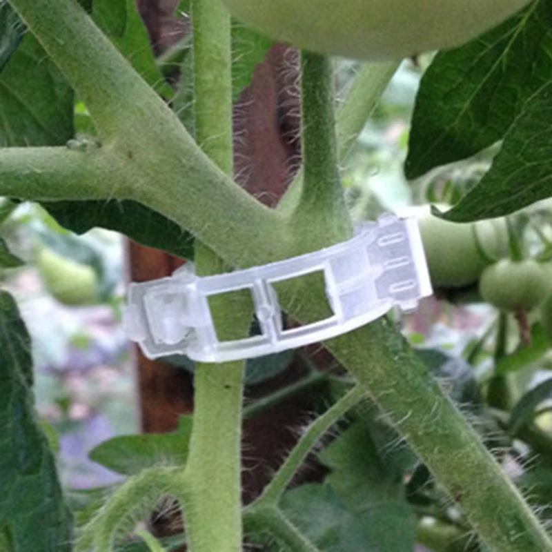 

Durable Clear 50Pcs Garden Plant Tomato Vine Peppers Support Clips Garden Vegetables For Plant Types Plastic Hanging