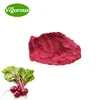 Organic red beet juice concentrate powder beetroot extract