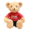 dropshipping Xmas plush toy couple teddy bear Brinquedo with cloth birthday gifts wedding anniversary