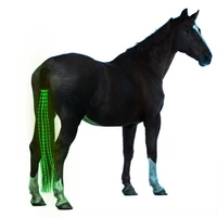 

High bright led horse tail light for equestrian