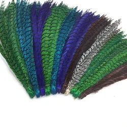 goose down feather