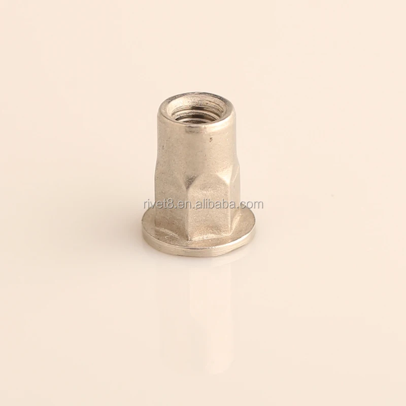 M6 M8 M12 Stainless Steel Flat Head Hexagon Flat Nut Blind Rivet Nut