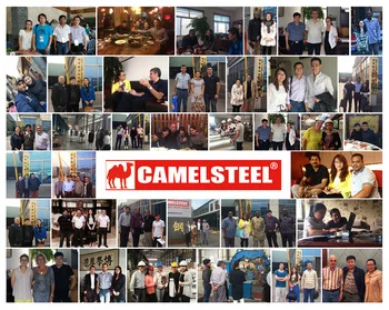 
Made in china 0.65mm printed flowers colour coated galvalume sheet for building material 