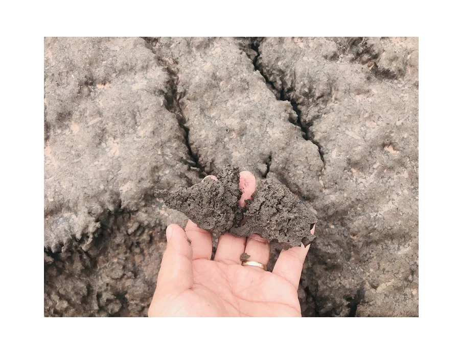 
Vietnam granulated blast furnace slag at competitive price - Ggbs blast furnace slag export to UAE, Korea, Japan 