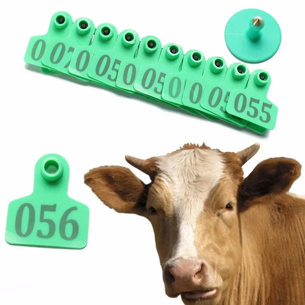Blue 100 Pieces Blank Livestock Ear Tags for Pigs Goats Sheep Cattle Calf Cows Animal Black Ear Tags