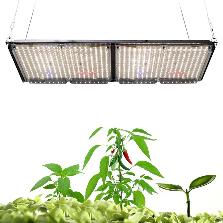 Best 2020 high yield led grow lights for weed plants green house lighting led grow for sale