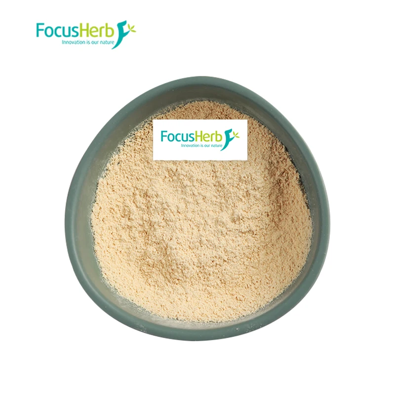 
FocusHerb 100% Natural Organic Pea Isolate Protein Powder 