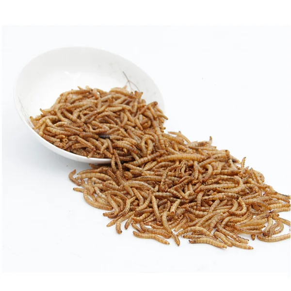 
Dried mealworms for poultry and livestock bird food pets food bird meal pets meal 