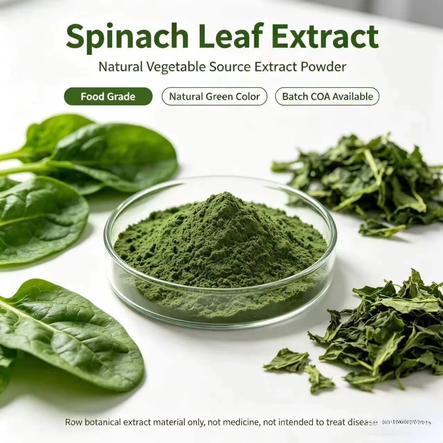 Spinach Powder - Bulk Wholesale from China Factory Hfcbac91521cd4aa6b99adedb28df4272Q