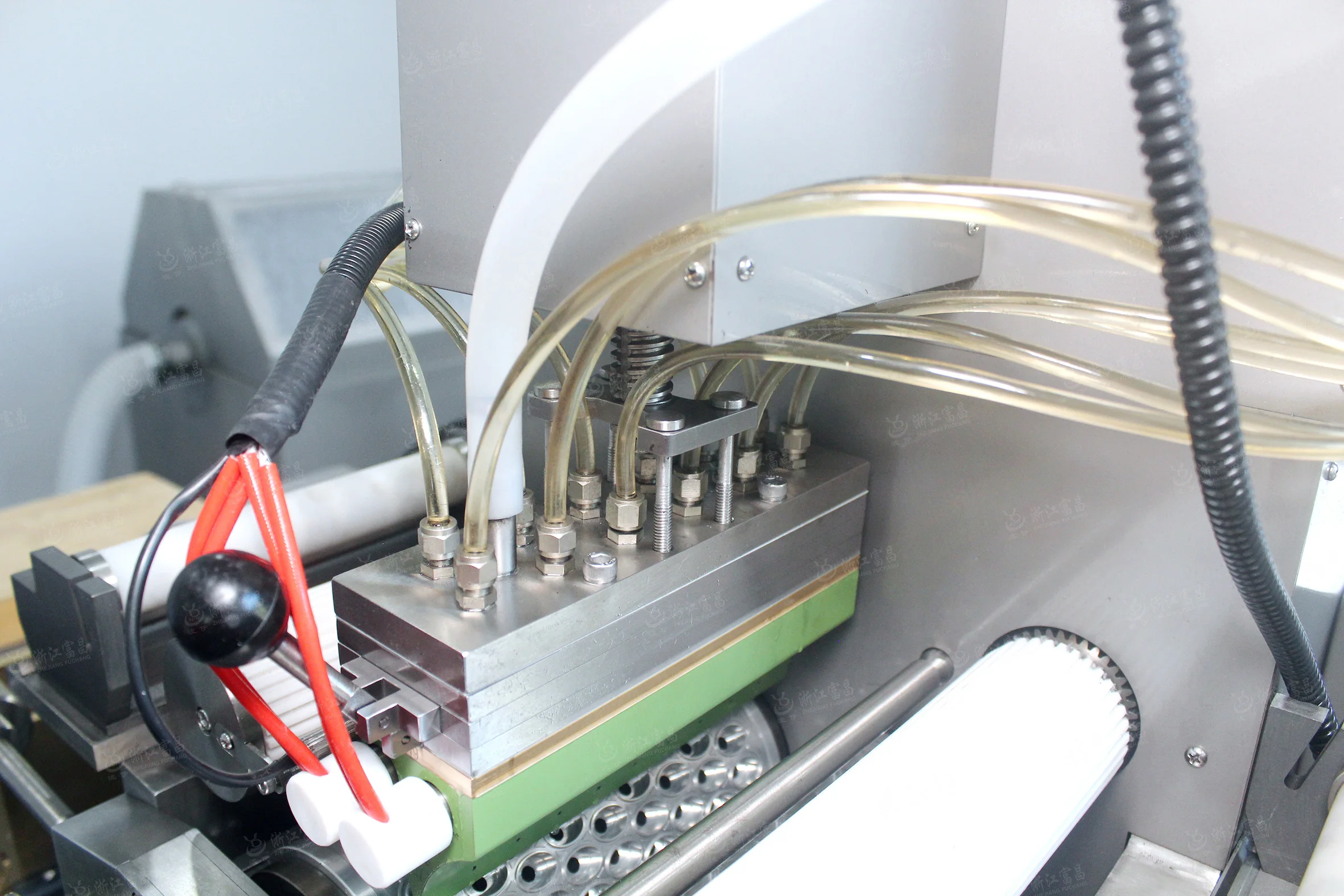 rg2-250 自动软凝胶胶囊填充封装机器