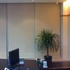 Wholesale Semi Blackout Fabric Printed Roller blind screen for window