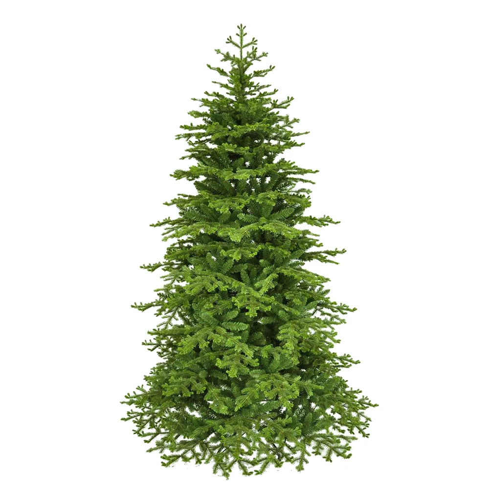 Christmas tree 1.jpg
