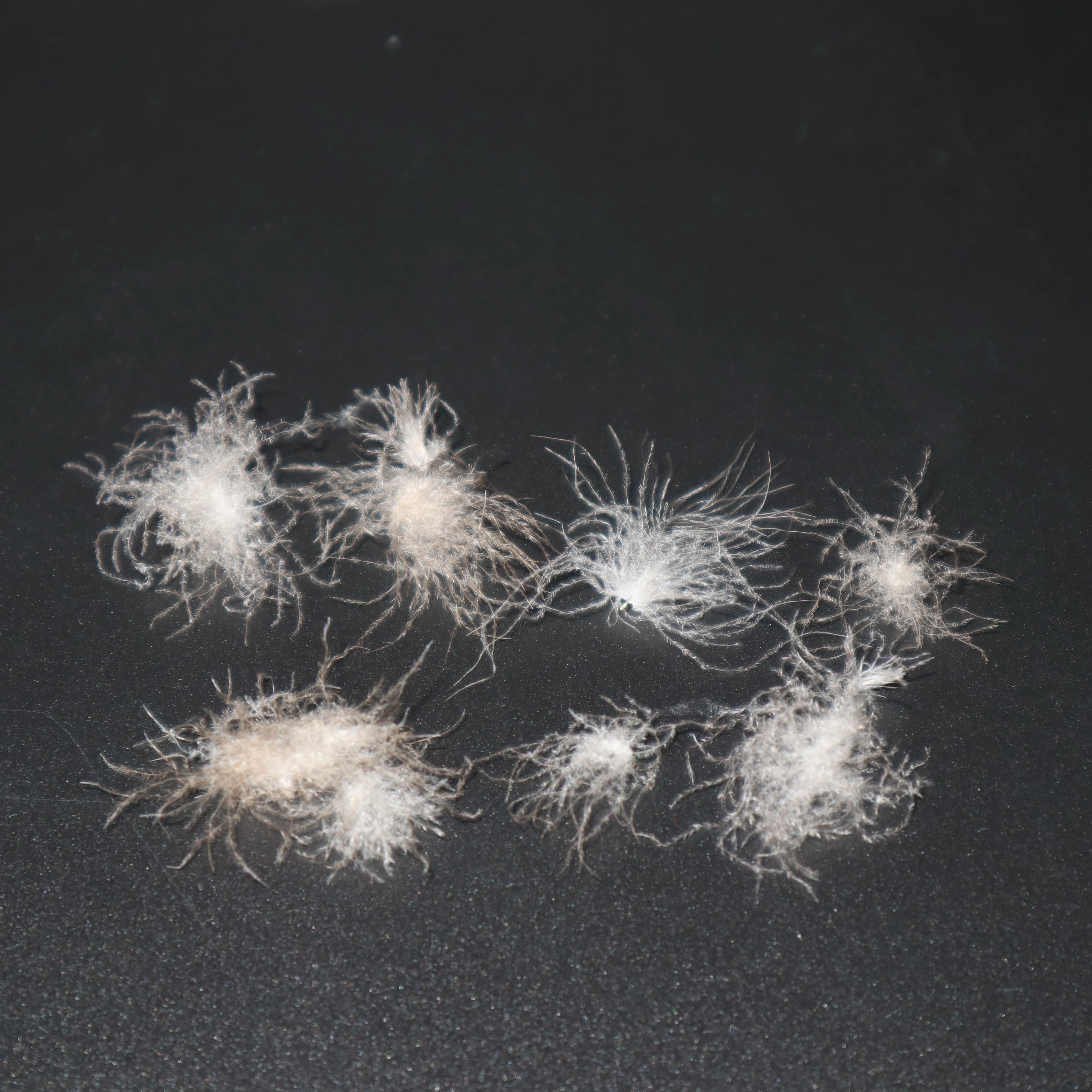 
Manufacturer 95% Pillow Insert Washed Big Grey 900 Bulk Goose Down 