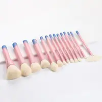 

14Pcs/set Gradient Handle Makeup Brushes Soft nylon Hair Foundation Power Brush Set Facial Make Up Tools