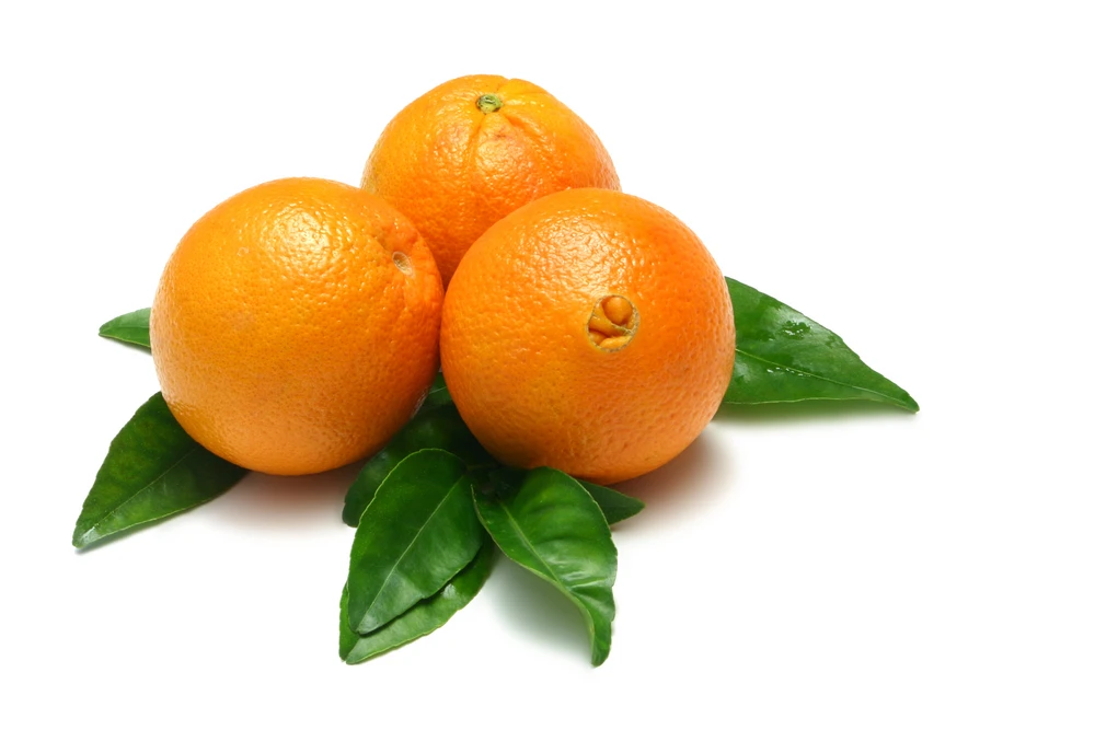 100% natural fresh navel orange 1st class citrus fruit producers